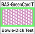 BAG - GreenCard T